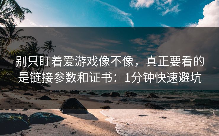 别只盯着爱游戏像不像，真正要看的是链接参数和证书：1分钟快速避坑